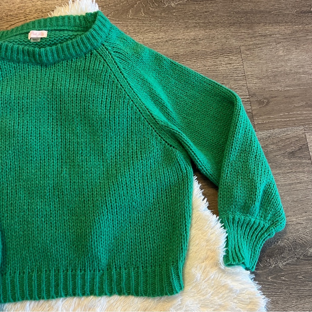 Pink Lily Vibrant Green Crew Neck Knit Sweater - Large - Picture 4 of 6